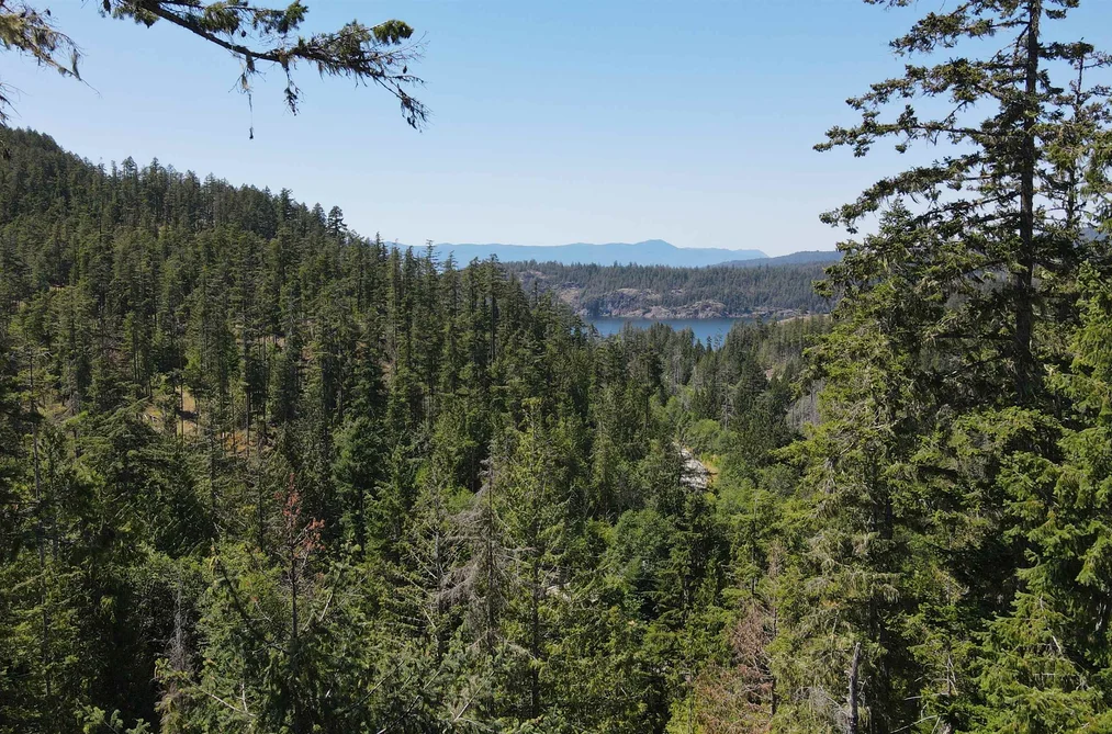 Lot 10 13803 LEE ROAD, Pender Harbour BC V0N 1S1, Pender Harbour BC — Land for Sale - Photo 4