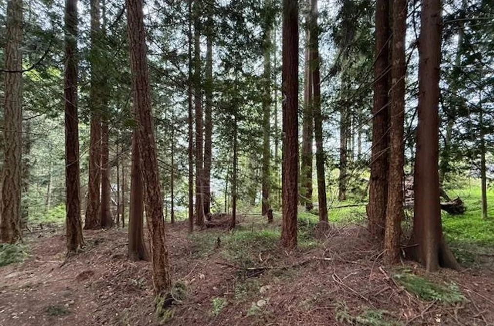 LOT 10 ELPHINSTONE AVENUE, Gibsons BC A9A 9A9, Gibsons BC — Land for Sale - Photo 5