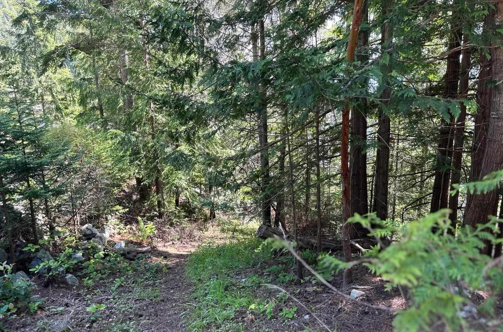 Lot 10 ORCA ROAD, Garden Bay BC V0N 1S1, Garden Bay BC — Land for Sale - Photo 5