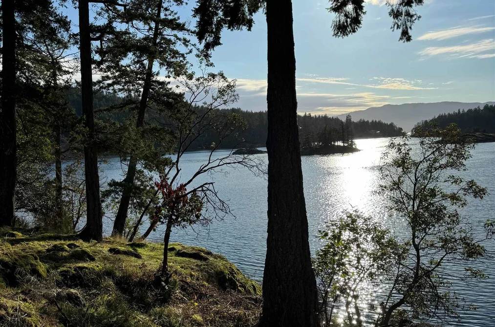 LOT 10 PINEHAVEN WAY, Pender Harbour BC V0N 1S1, Pender Harbour BC — Land for Sale - Photo 2