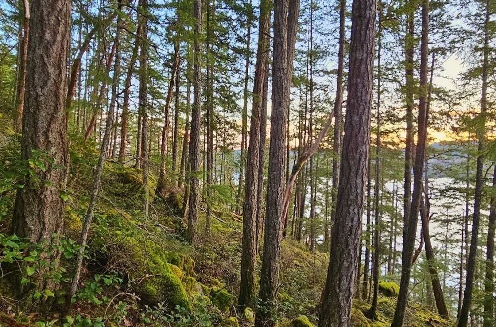 Property for sale at Lot 108 Seaview Road Sechelt British Columbia - MLS: R3144924