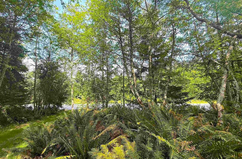 Property for sale at Lot 11 Bodega Beach Drive Galiano Island British Columbia - MLS: R3118551