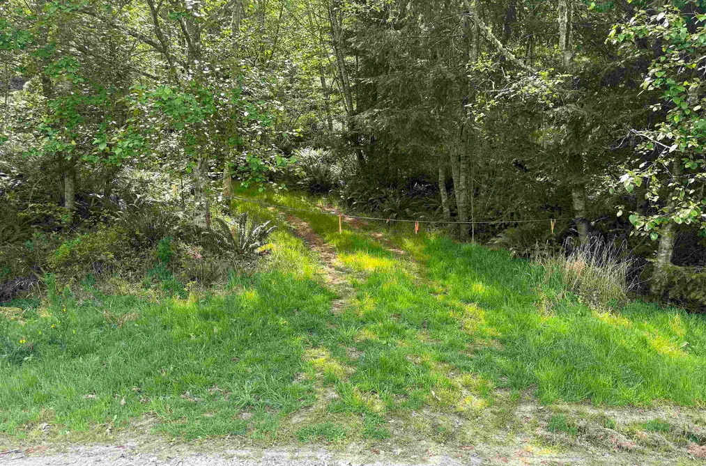 Lot 11 BODEGA BEACH DRIVE, Galiano Island BC V0N 1P0, Galiano Island BC — Land for Sale - Photo 2