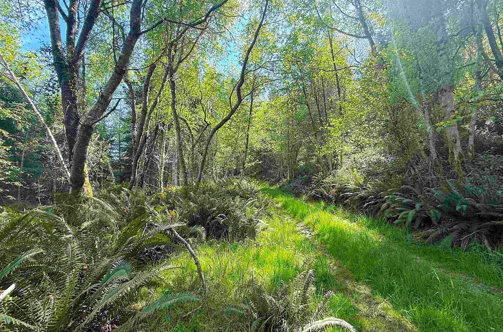 Lot 11 BODEGA BEACH DRIVE, Galiano Island BC V0N 1P0, Galiano Island BC — Land for Sale - Photo 3