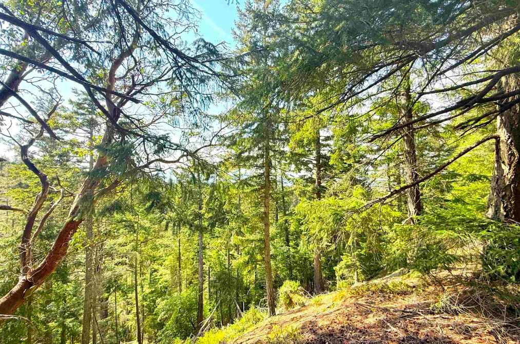 Lot 11 BODEGA BEACH DRIVE, Galiano Island BC V0N 1P0, Galiano Island BC — Land for Sale - Photo 7