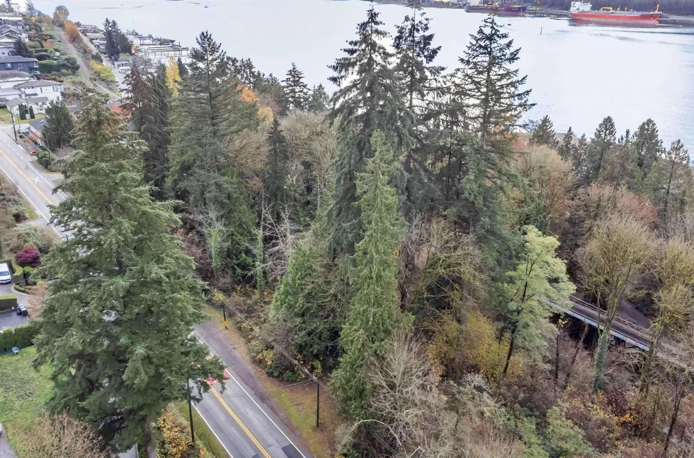 LOT 11 IOCO ROAD, Port Moody BC V3H 2X3, Port Moody BC — Land for Sale - Photo 2