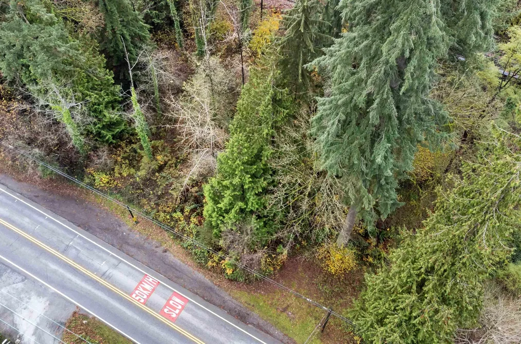 LOT 11 IOCO ROAD, Port Moody BC V3H 2X3, Port Moody BC — Land for Sale - Photo 5