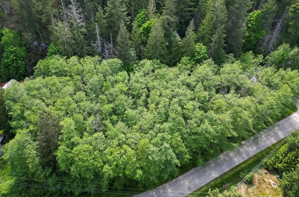 LOT 115 MURDOCH ROAD, Garden Bay BC V0N 1S1, Garden Bay BC — Land for Sale - Photo 5