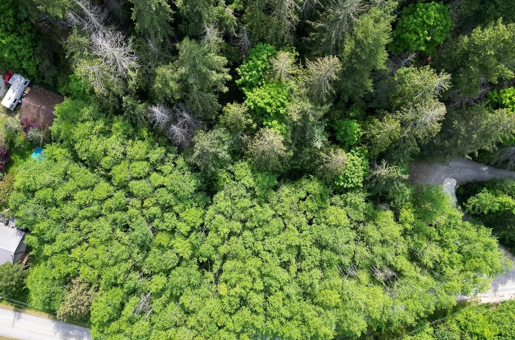 LOT 115 MURDOCH ROAD, Garden Bay BC V0N 1S1, Garden Bay BC — Land for Sale - Photo 6