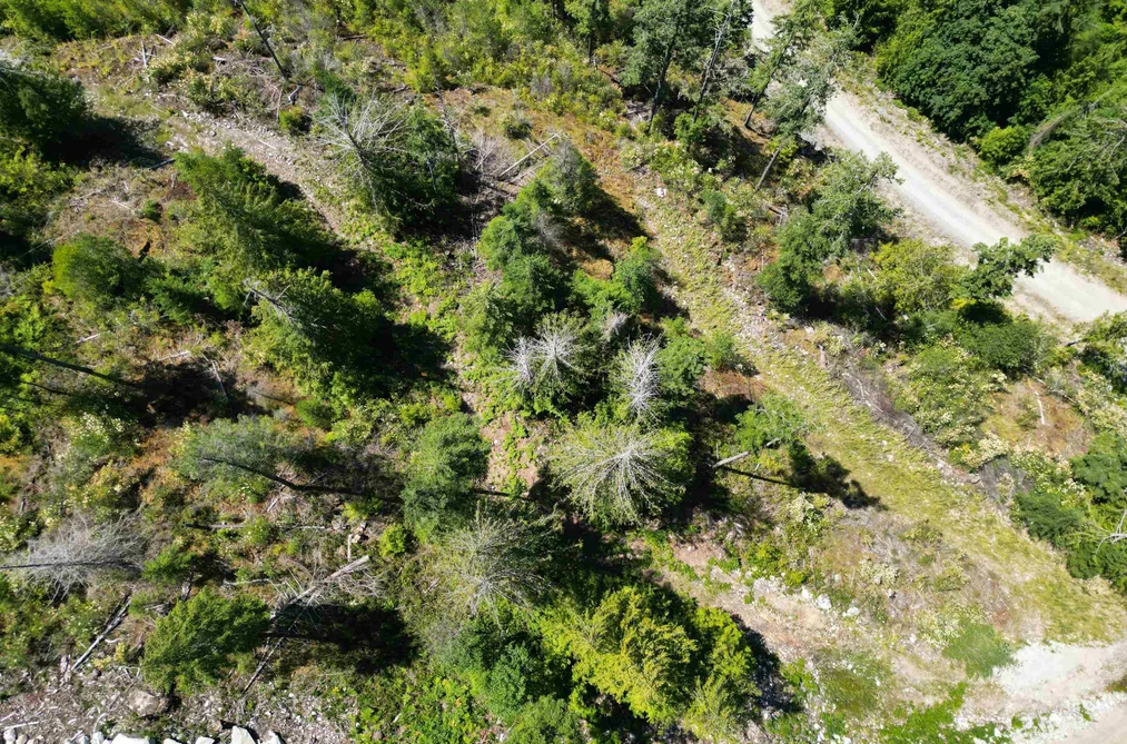 Lot 12 13803 LEE ROAD, Pender Harbour BC V0N 1S1, Pender Harbour BC — Land for Sale - Photo 5