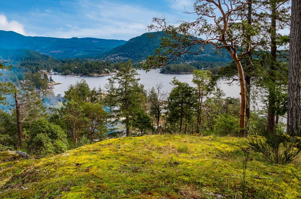 LOT 13 FLAGSHIP ROAD, Pender Harbour BC V0N 1S1, Pender Harbour BC — Land for Sale - Photo 2