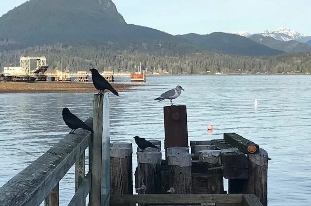 LOT 13 MARINE DRIVE, Gibsons BC V0N 1V0, Gibsons BC — Land for Sale - Photo 7