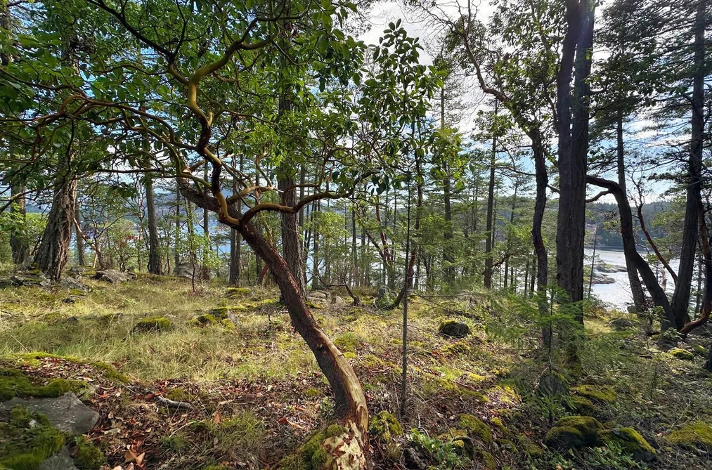 LOT 14 FLAGSHIP ROAD, Garden Bay BC V0N 1S1, Garden Bay BC — Land for Sale - Photo 3