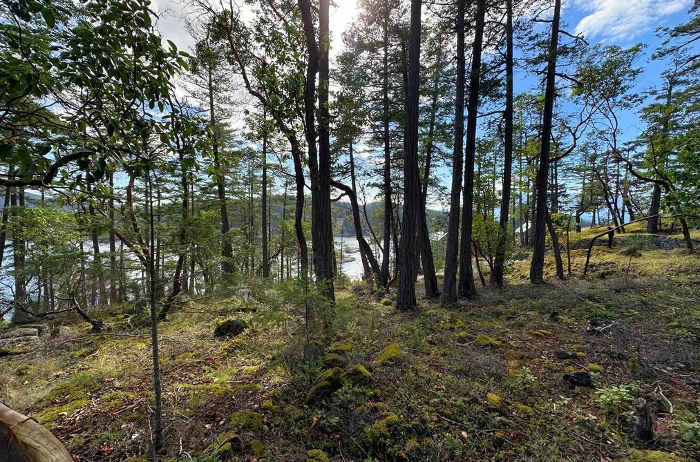 LOT 14 FLAGSHIP ROAD, Garden Bay BC V0N 1S1, Garden Bay BC — Land for Sale - Photo 4