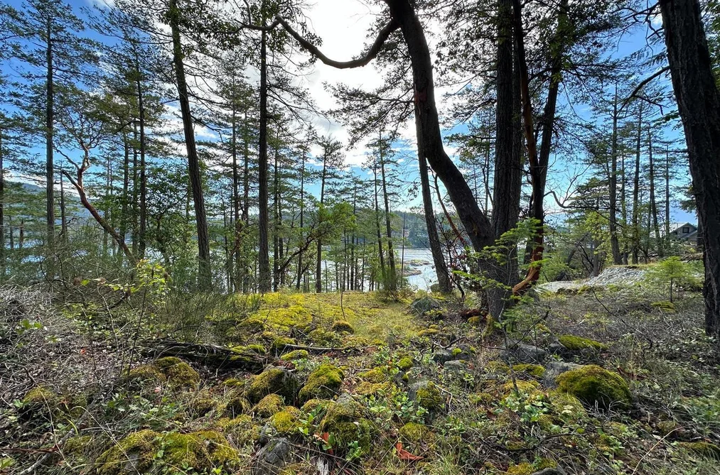 LOT 14 FLAGSHIP ROAD, Garden Bay BC V0N 1S1, Garden Bay BC — Land for Sale - Photo 5