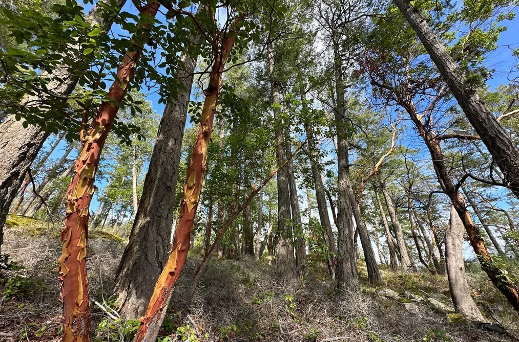 LOT 14 FLAGSHIP ROAD, Garden Bay BC V0N 1S1, Garden Bay BC — Land for Sale - Photo 6