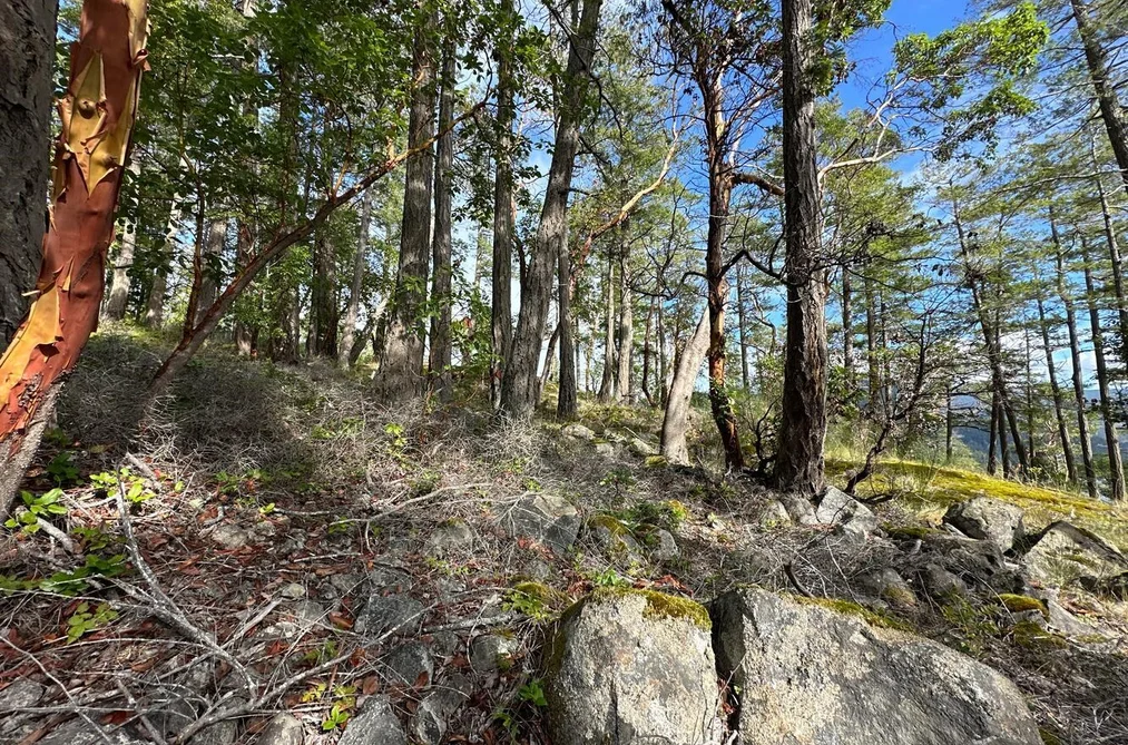 LOT 14 FLAGSHIP ROAD, Garden Bay BC V0N 1S1, Garden Bay BC — Land for Sale - Photo 7
