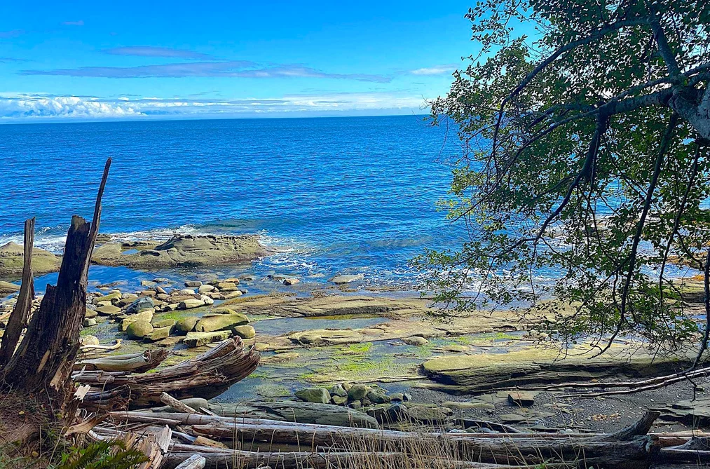 Property for sale at Lot 16 Dl 71 And 77 Galiano Island British Columbia - MLS: R3133051