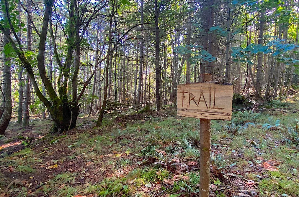 Lot 17 DL 71 BODEGA BEACH DRIVE, Galiano Island BC V9N 1P0, Galiano Island BC — Land for Sale - Photo 3
