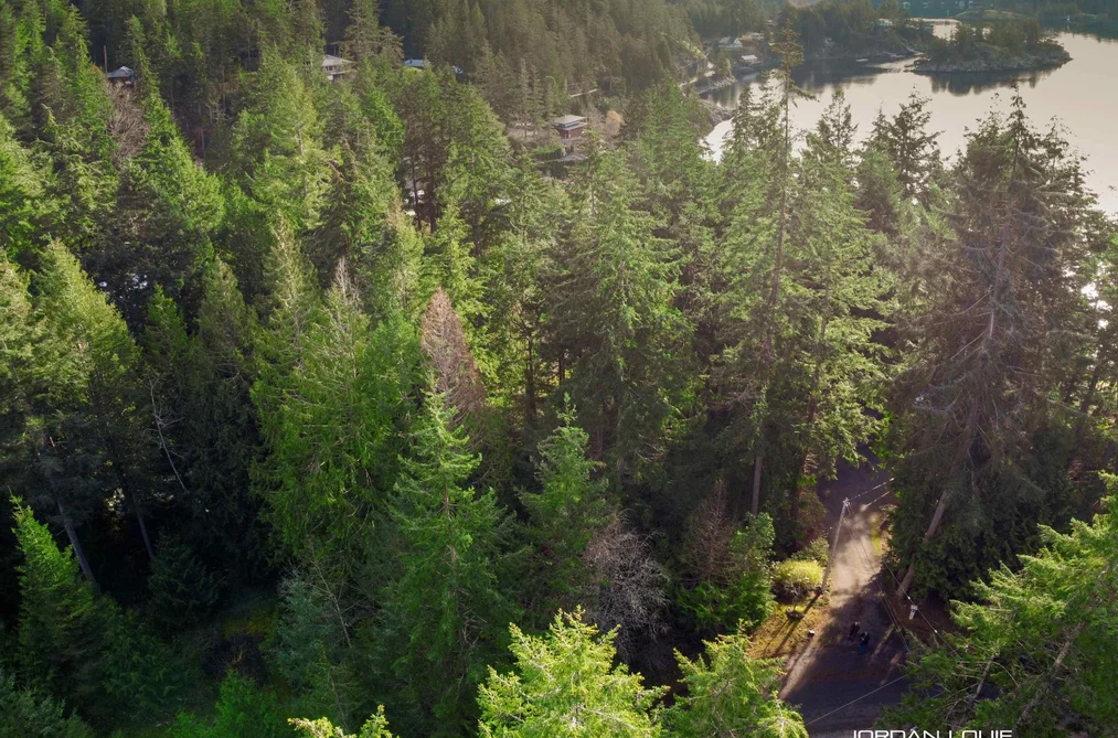 Lot 17 ORCA ROAD, Garden Bay BC V0N 1S1, Garden Bay BC — Land for Sale - Photo 4