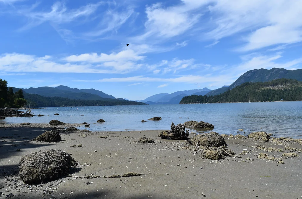 LOT 18 N GALE AVENUE, Sechelt BC V7Z 0E1, Sechelt BC — Land for Sale - Photo 2