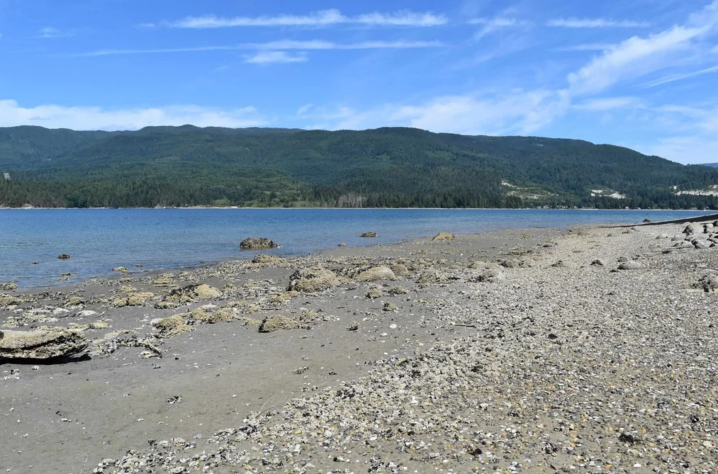 LOT 18 N GALE AVENUE, Sechelt BC V7Z 0E1, Sechelt BC — Land for Sale - Photo 3