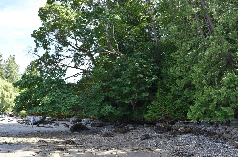 LOT 18 N GALE AVENUE, Sechelt BC V7Z 0E1, Sechelt BC — Land for Sale - Photo 5