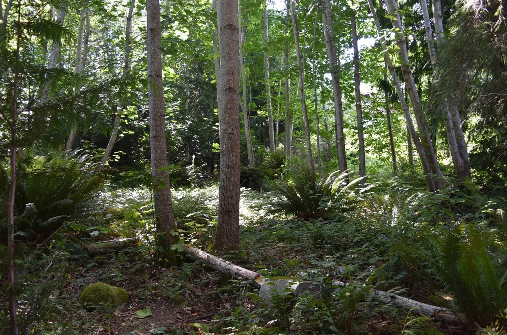 LOT 18 N GALE AVENUE, Sechelt BC V7Z 0E1, Sechelt BC — Land for Sale - Photo 7
