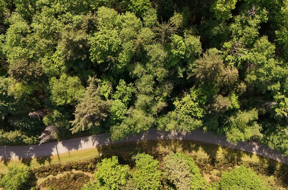 LOT 19 SMUGGLERS COVE ROAD, Bowen Island BC V0N 1G1, Bowen Island BC — Land for Sale - Photo 2