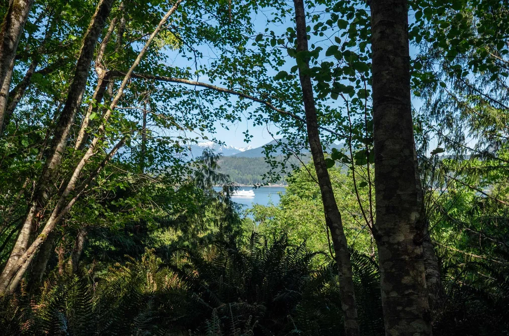LOT 19 SMUGGLERS COVE ROAD, Bowen Island BC V0N 1G1, Bowen Island BC — Land for Sale - Photo 3