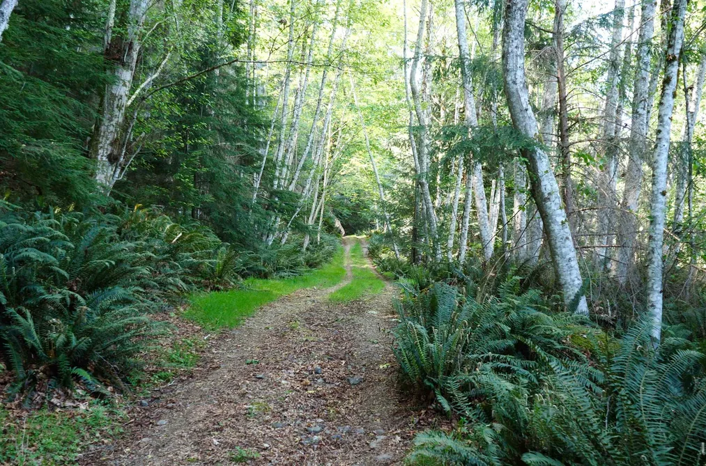 LOT 19 SMUGGLERS COVE ROAD, Bowen Island BC V0N 1G1, Bowen Island BC — Land for Sale - Photo 4