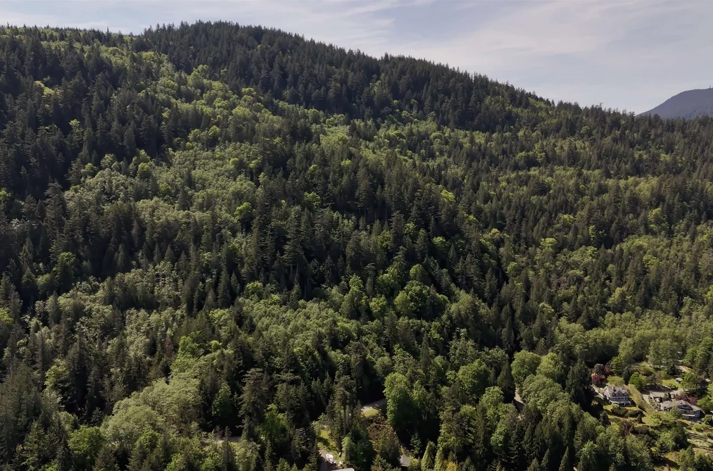 LOT 19 SMUGGLERS COVE ROAD, Bowen Island BC V0N 1G1, Bowen Island BC — Land for Sale - Photo 5