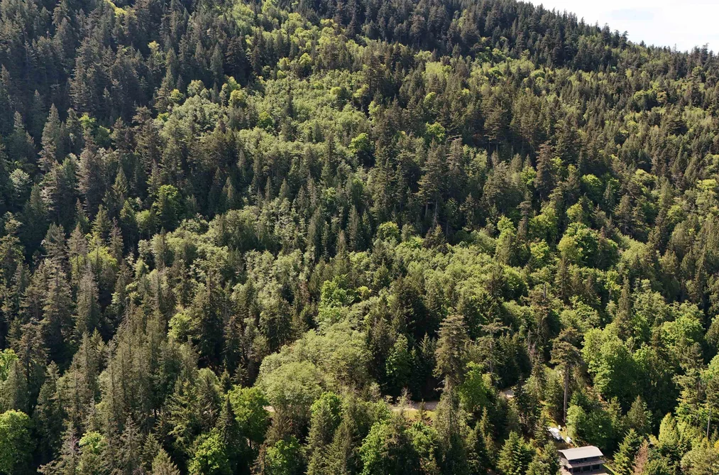 LOT 19 SMUGGLERS COVE ROAD, Bowen Island BC V0N 1G1, Bowen Island BC — Land for Sale - Photo 6