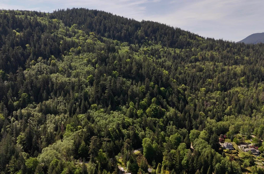 LOT 19 SMUGGLERS COVE ROAD, Bowen Island BC V0N 1G1, Bowen Island BC — Land for Sale - Photo 7