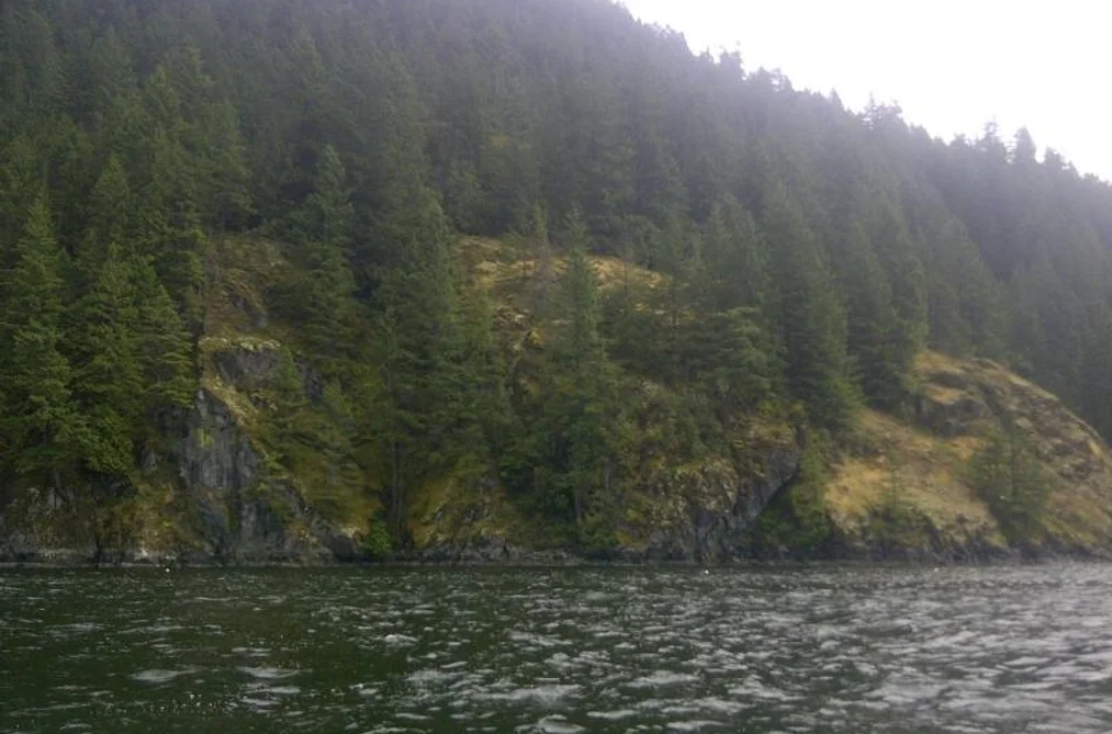 Lot 2 &-3 INDIAN ARM, Port Moody BC V3N 3M2, Port Moody BC — Land for Sale - Photo 7