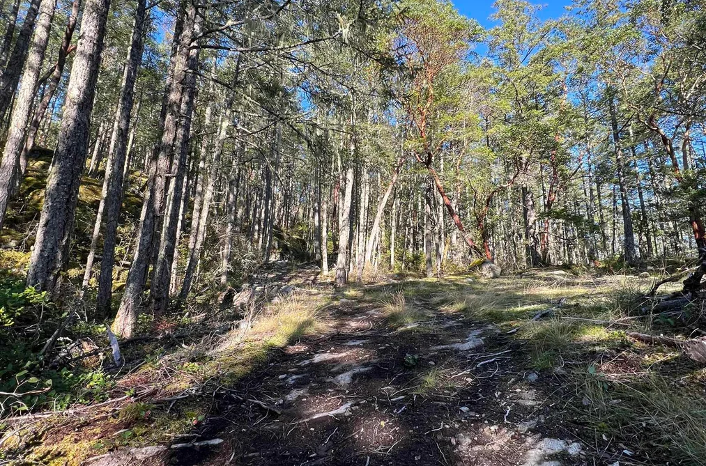 Property for sale at Lot 2 13685 Lee Road Garden Bay British Columbia - MLS: R2979496