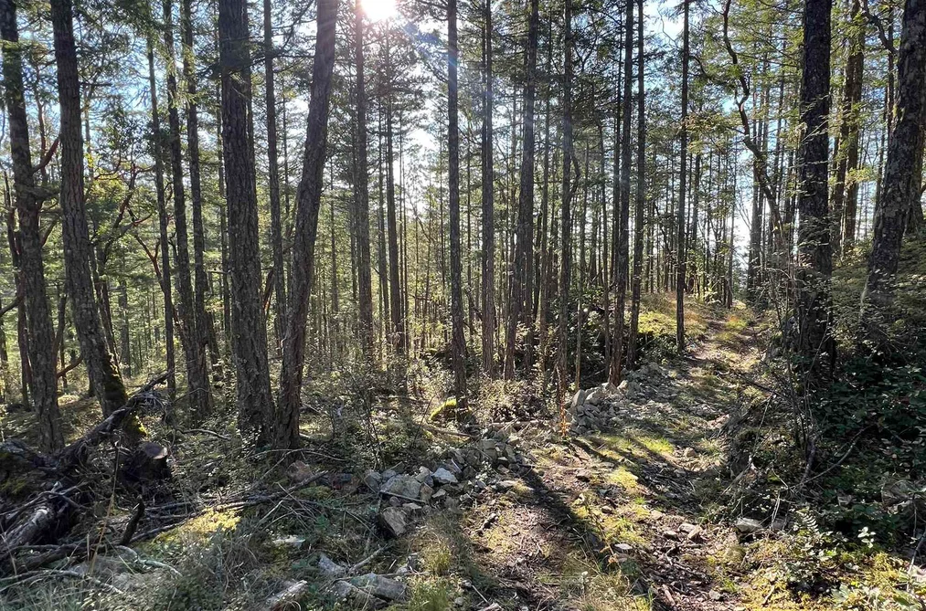LOT 2 13685 LEE ROAD, Garden Bay BC V0N 1S1, Garden Bay BC — Land for Sale - Photo 3