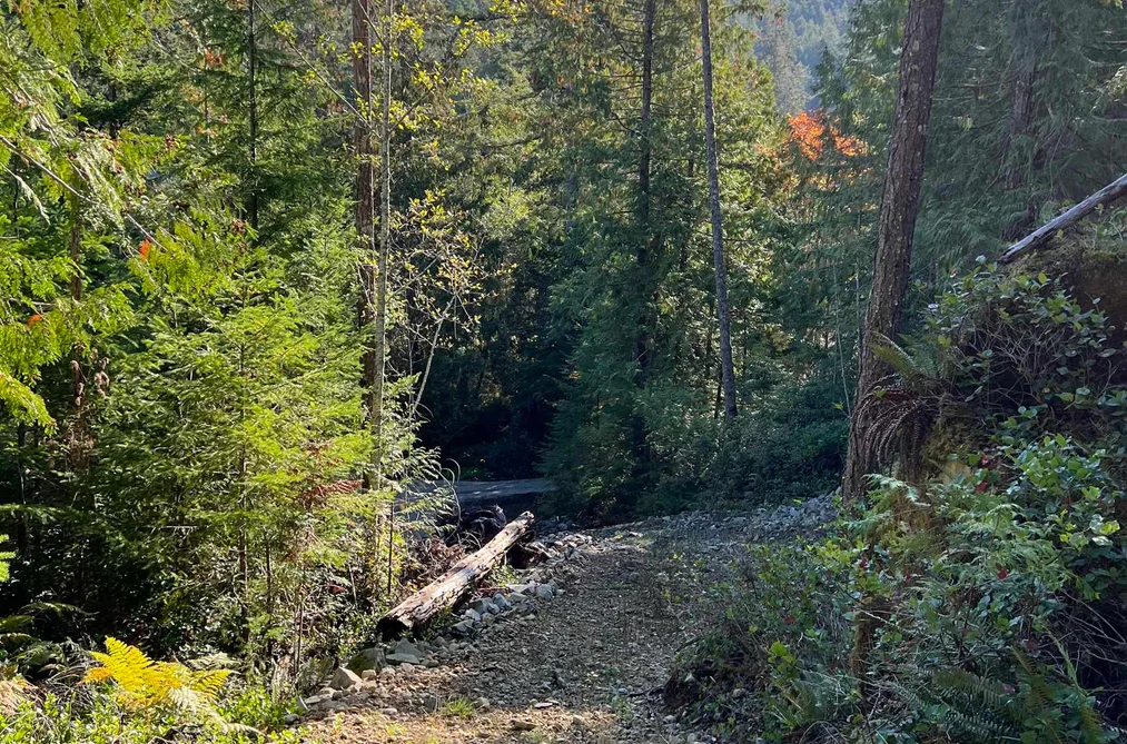 LOT 2 13685 LEE ROAD, Garden Bay BC V0N 1S1, Garden Bay BC — Land for Sale - Photo 5