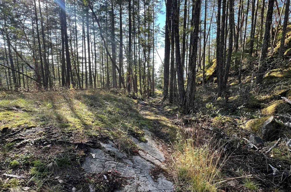 LOT 2 13685 LEE ROAD, Garden Bay BC V0N 1S1, Garden Bay BC — Land for Sale - Photo 6