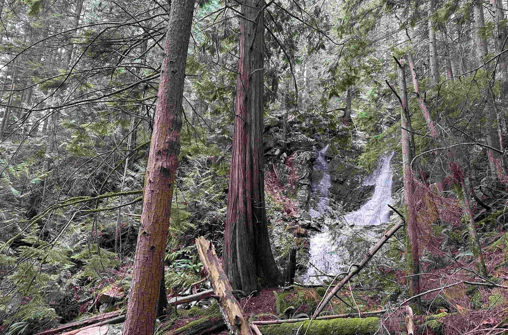 Lot 2 INDIAN RIVER DRIVE, North Vancouver BC V7G 2H7, North Vancouver BC — Land for Sale - Photo 6