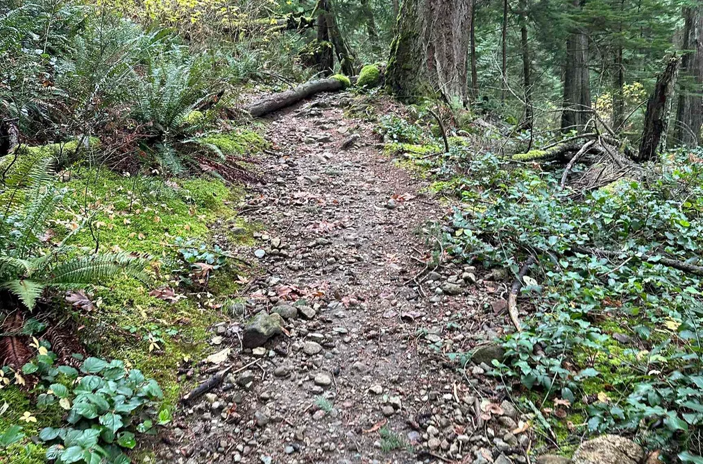 Lot 2 INDIAN RIVER DRIVE, North Vancouver BC V7G 2H7, North Vancouver BC — Land for Sale - Photo 7