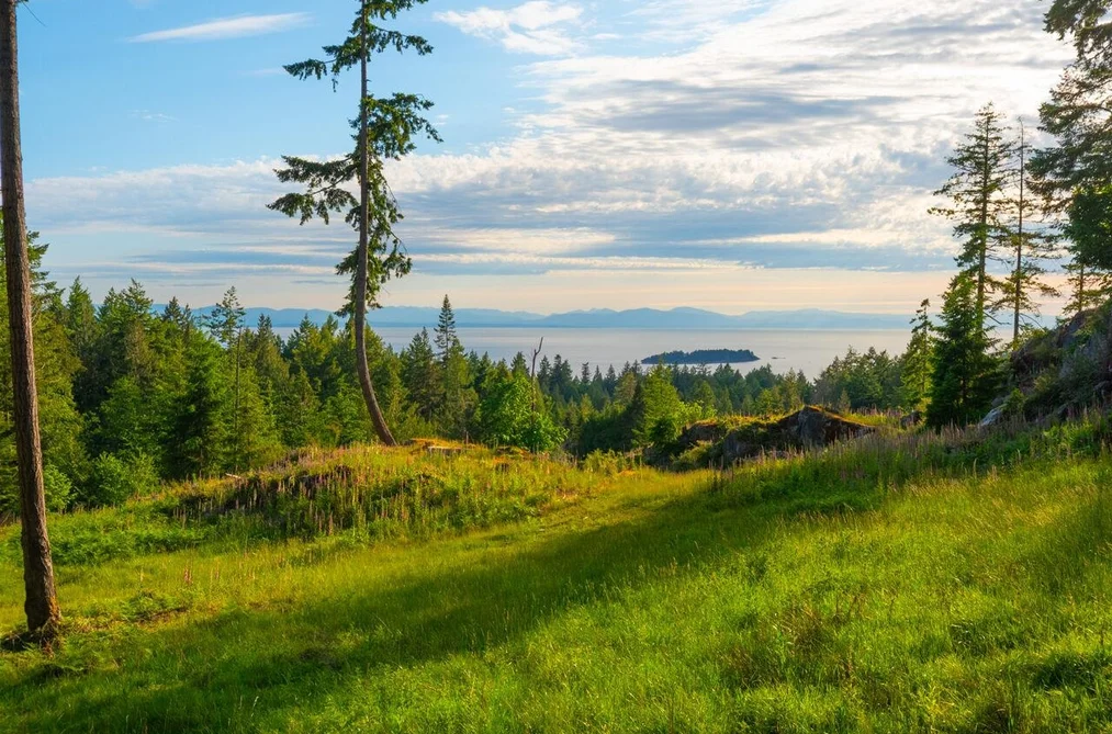 Property for sale at Lot 2 Innisfree Lane Bowen Island British Columbia - MLS: R3049725