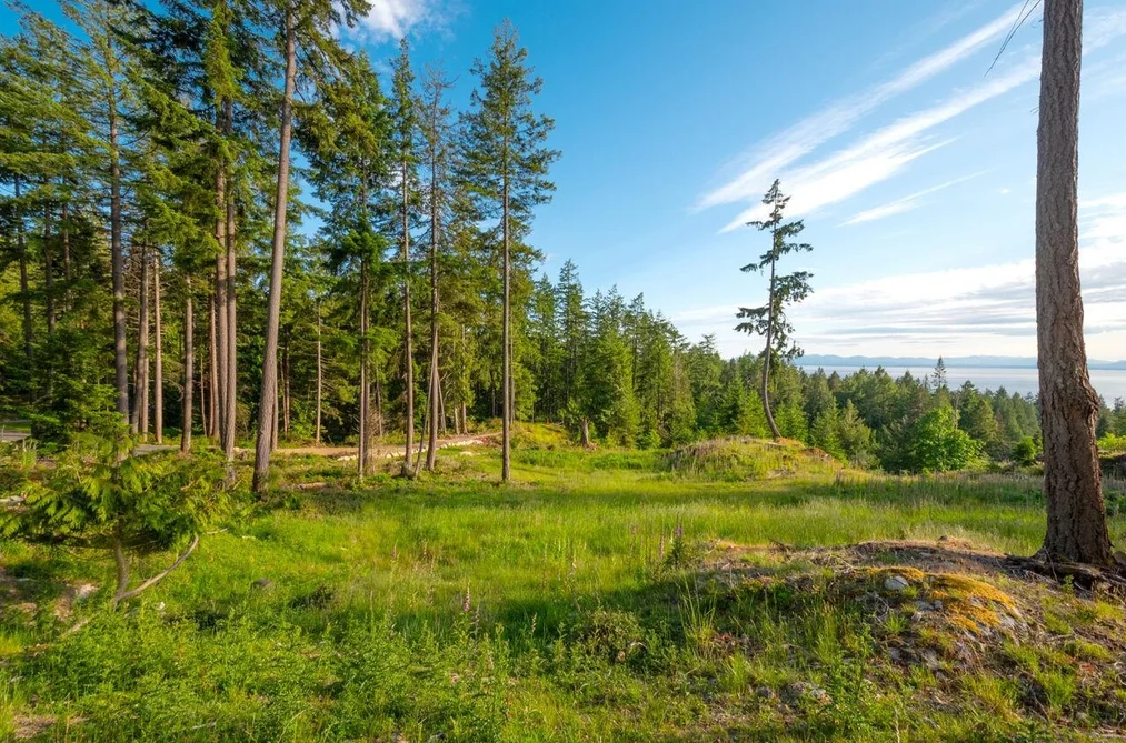 Lot 2 INNISFREE LANE, Bowen Island BC V0N 1G2, Bowen Island BC — Land for Sale - Photo 4