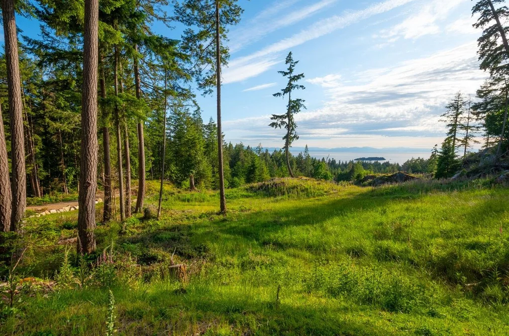 Lot 2 INNISFREE LANE, Bowen Island BC V0N 1G2, Bowen Island BC — Land for Sale - Photo 5