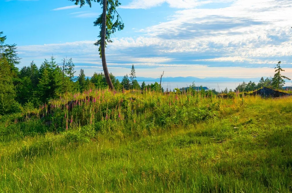 Lot 2 INNISFREE LANE, Bowen Island BC V0N 1G2, Bowen Island BC — Land for Sale - Photo 6