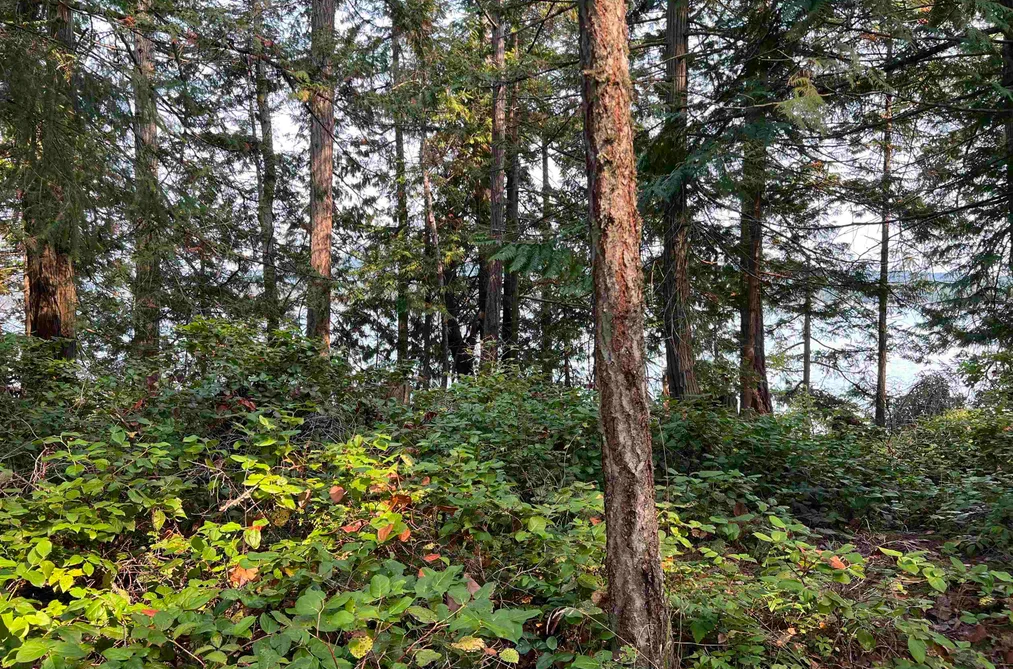 Property for sale at Lot 2 North End Road Salt Spring Island British Columbia - MLS: R3047282