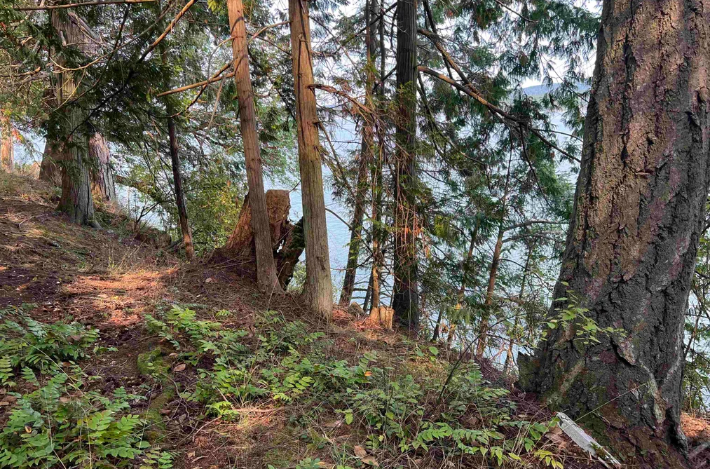 LOT 2 NORTH END ROAD, Salt Spring Island BC V0V 0V0, Salt Spring Island BC — Land for Sale - Photo 2