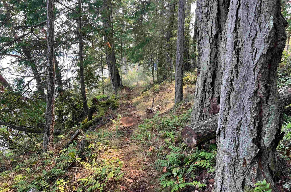 LOT 2 NORTH END ROAD, Salt Spring Island BC V0V 0V0, Salt Spring Island BC — Land for Sale - Photo 3