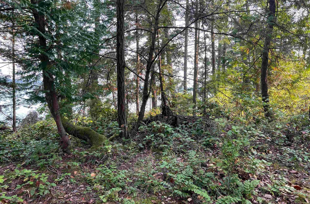 LOT 2 NORTH END ROAD, Salt Spring Island BC V0V 0V0, Salt Spring Island BC — Land for Sale - Photo 4
