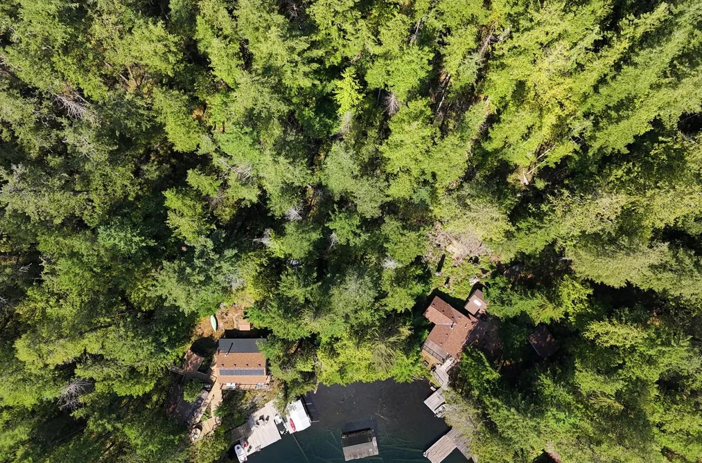 Lot 20 SAKINAW LAKE, Sechelt BC V0N 2H0, Sechelt BC — Land for Sale - Photo 4